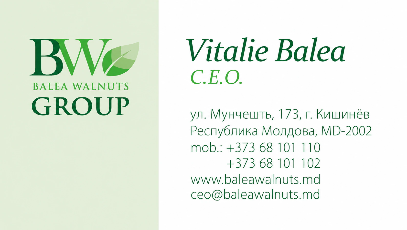 Визитная карточка Виталия Баля, генерального директора BC «BALEA WALNUTS GROUP»